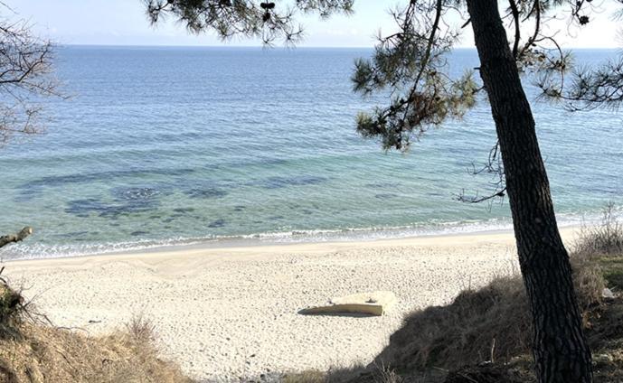Teracite Aparthotel Varna Bagian luar foto